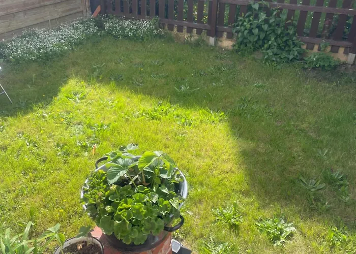 Suedstadt-perle - Haus Mit 3 Zimmern, Kueche Und Garten